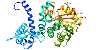 <span class="mw-page-title-main">Acetylserotonin O-methyltransferase</span> Mammalian protein found in humans