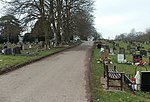 a road through a cemetery, with trees and rows of headstones