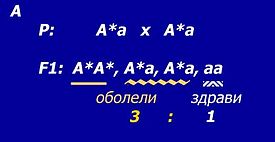 Аутозомно доминантно наслеђивање у браку оболелих хетерозиготних родитеља