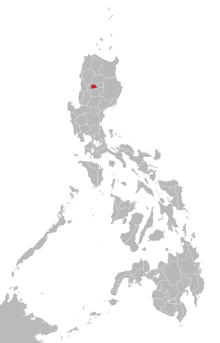 <span class="mw-page-title-main">Bontoc language</span> Northern Luzon language spoken in the Philippines