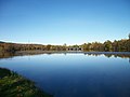 L'îlot de terre au milieu du lac est lieu de repos pour diverses espèces d'oiseaux. En arrière-plan, le pont de l'autoroute A64.