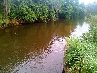 <span class="mw-page-title-main">Densu River</span> River in Ghana