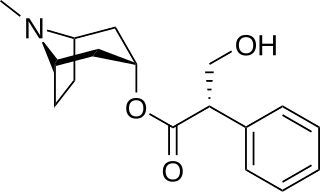 <span class="mw-page-title-main">Hyoscyamine</span> Tropane alkaloid