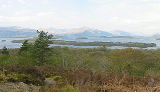 <span class="mw-page-title-main">Inchcailloch</span> Island in Stirling, Scotland