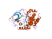 PDB 2jdt EBI.png