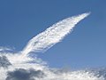 "Quill-shaped_cirrus_cloud.jpg" by User:W.carter