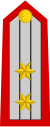 Lieutenant Colonel