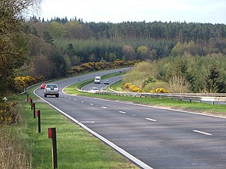 <span class="mw-page-title-main">Haldon Hills</span>