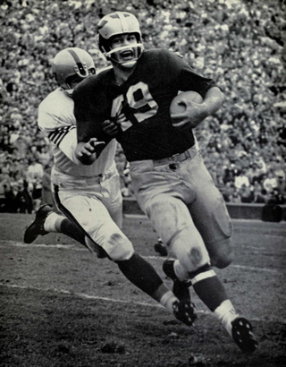 <span class="mw-page-title-main">Bob Ptacek</span> American gridiron football player (born 1937)