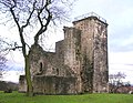 Crookston Castle in Glasgow was the first property acquired by the Trust.