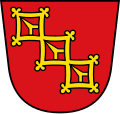 .svg schräg