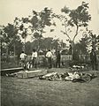 Union dead from the Battle of the Wilderness and the Battle of Spotsylvania being buried at Fredericksburg.