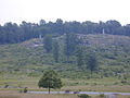 Little Round Top, hvor nogle af de hårdeste kampe blev udkæmpet på slagets anden dag.