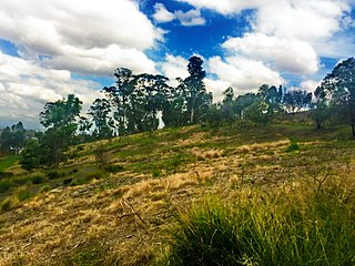 <span class="mw-page-title-main">Prospect Hill (New South Wales)</span> Hill in Sydney, New South Wales, Australia