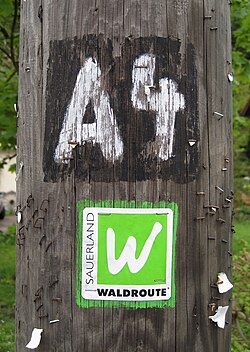 Wegzeichen des Hauptweges der Sauerland-Waldroute