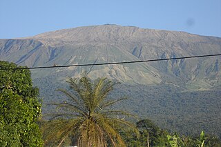 <span class="mw-page-title-main">Mount Cameroon</span> Active volcano in Cameroon near the Gulf of Guinea