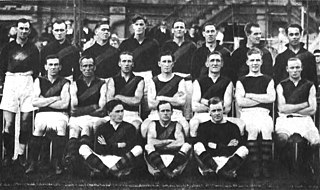 <span class="mw-page-title-main">1921 VFL season</span> 25th season of the Victorian Football League (VFL)