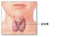 한국어