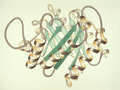 47 - Ribbon schematic of the 3D structure of the protein triose phosphate isomerase Created, uploaded and nominated by User:Dcrjsr delisted 2.21.2009 (0-8)