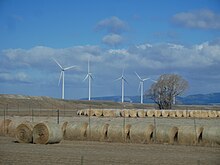 Two Dot Wind Farm TwoDotWindFarm.jpg