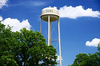 <span class="mw-page-title-main">Bush, Illinois</span> Village in Illinois, United States