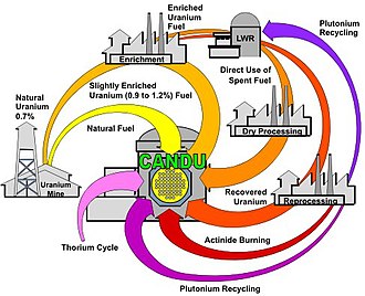 Range of possible CANDU fuel cycles: CANDU reactors can accept a variety of fuel types, including the used fuel from light-water reactors. CANDU fuel cycles.jpg