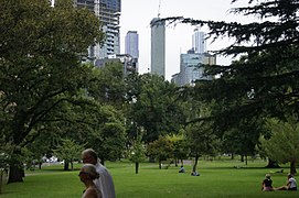 Summer in Carlton Gardens