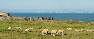 Blick vom Cap Gris-Nez über den Kanal auf die Kreidefelsen von Dover