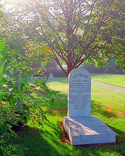 Alydar American-bred Thoroughbred racehorse