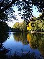 Der Irlachweiher im Frühherbst