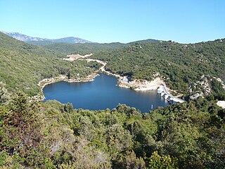 <span class="mw-page-title-main">Rizzanese Reservoir</span> Lake in Corse-du-Sud, Corsica