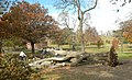 Storm damage in Brooklyn