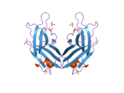 2b3r: Crystal structure of the C2 domain of class II phosphatidylinositide 3-kinase C2