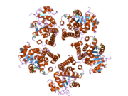 PDB 2gra EBI.png