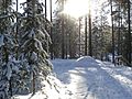 Imatra in winter