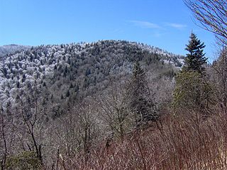 <span class="mw-page-title-main">Old Black (Great Smoky Mountains)</span> Mountain in United States of America