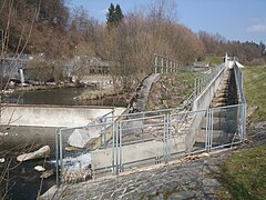 Fischtreppe an der Wiese (2)