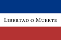 Flag of Los Treinta y Tres.Orientales