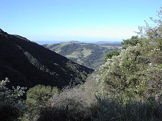 <span class="mw-page-title-main">Gaviota State Park</span> State park in Gaviota, California, United States