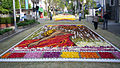 Flower carpets in Kobe, Japan