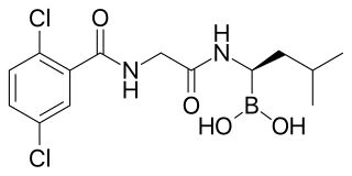 <span class="mw-page-title-main">Ixazomib</span> Chemical compound