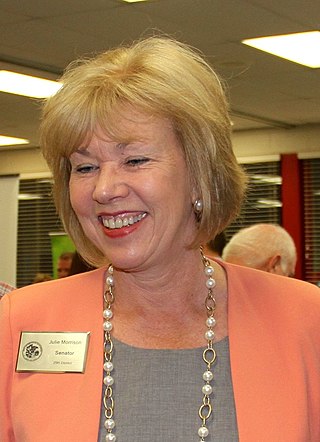 <span class="mw-page-title-main">Julie Morrison</span> American politician