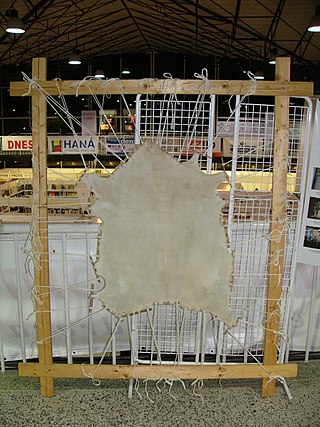 <span class="mw-page-title-main">Goatskin (material)</span> Furreds skin of a goat