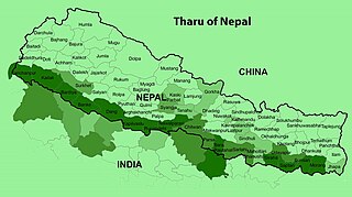 <span class="mw-page-title-main">Tharu languages</span> Indo-Aryan language group of Nepal and India