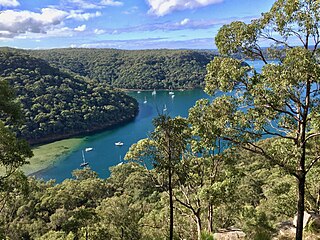 Ku-ring-gai Chase National Park Protected area in New South Wales, Australia