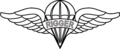 Parachute Rigger Badge