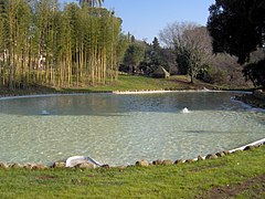 Villa Torlonia, lac.