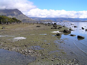 Llyn Wanaka