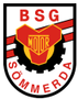 BSG Motor (1951–1971)