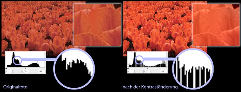 Das Farbspektrum des Fotos links umfasst ca. 200 Stufen (damit wird die Farbtiefe von 256 Stufen nicht komplett ausgenutzt). Im rechten Foto wurde eine einfache Kontrasterhöhung durchgeführt, die das Farbspektrum des Fotos auf 256 Stufen angehoben hat (= Tonwertspreizung). Die vorher-200 Stufen können nicht identisch auf nachher-256 Stufen übertragen werden. Die konkreten Farbwerte werden durch das Interpolationsverfahren bestimmt. Symbolisiert werden die (durch diese Veränderung) entstehenden Lücken im Farbspektrum durch eine lückenhafte Anzeige im Histogramm (Diagramm unter dem Foto).